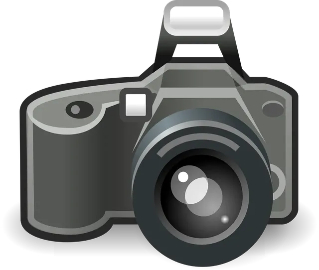 Graphics Processor